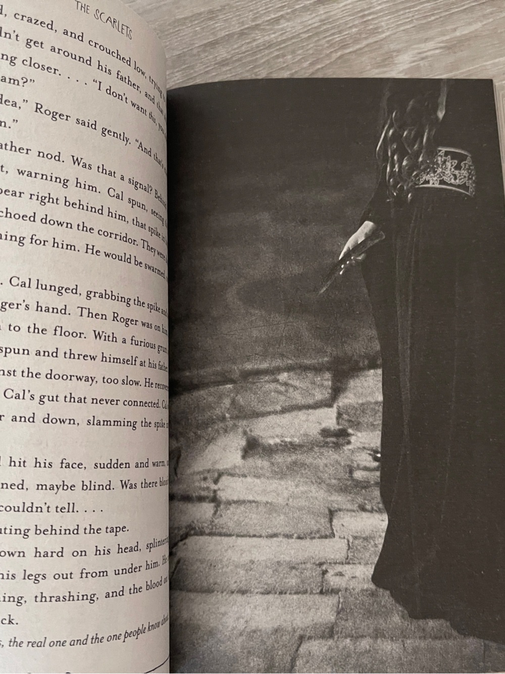 The Asylum Novellas by Madeleine Roux - Picture 7 of 8
